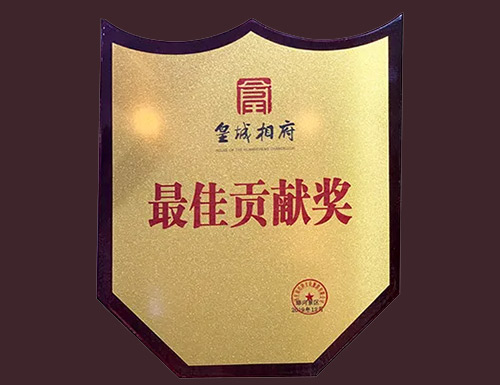 皇城相府——最佳贡献奖